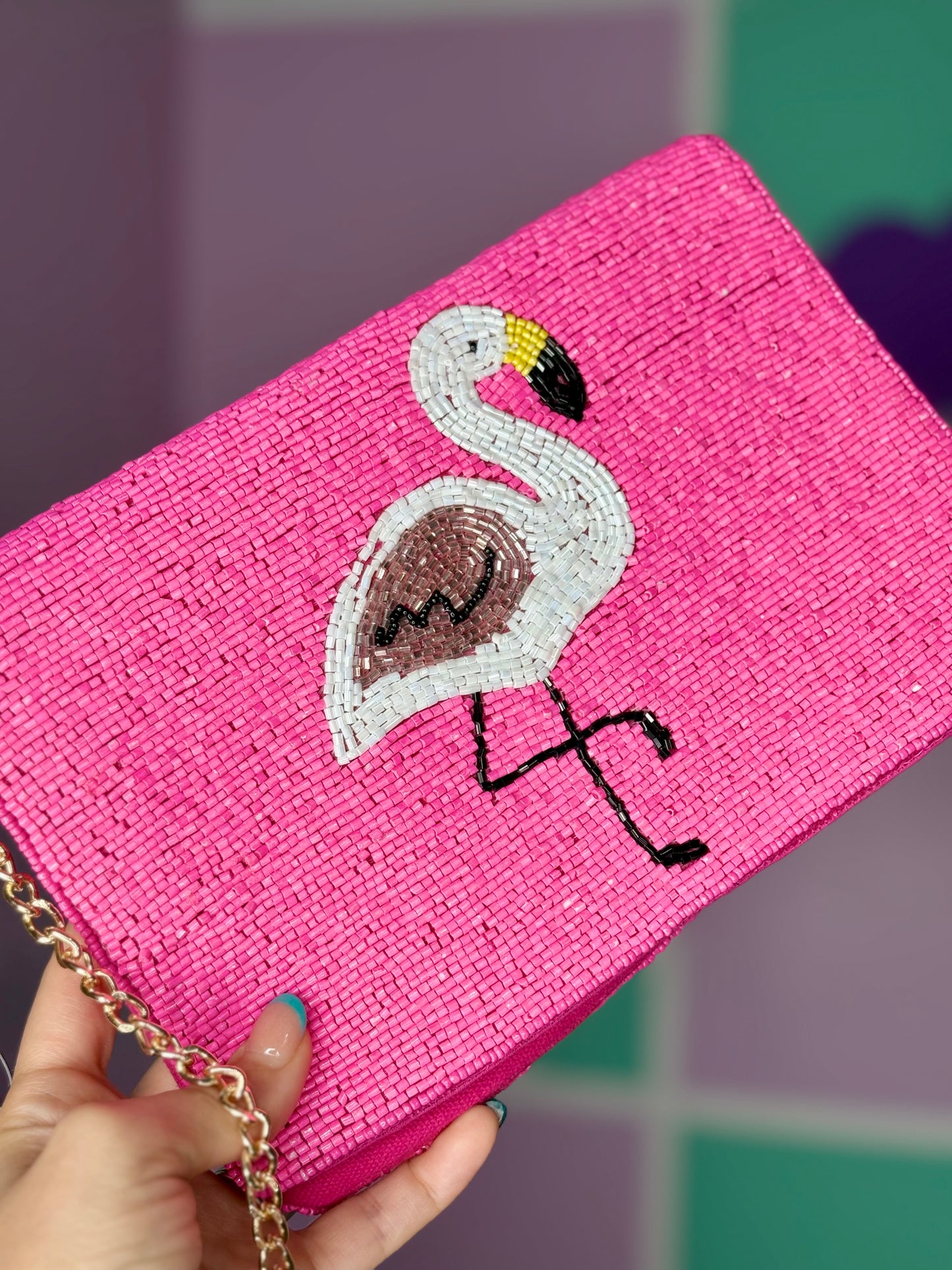 CARTERA 🦩 🇮🇳
