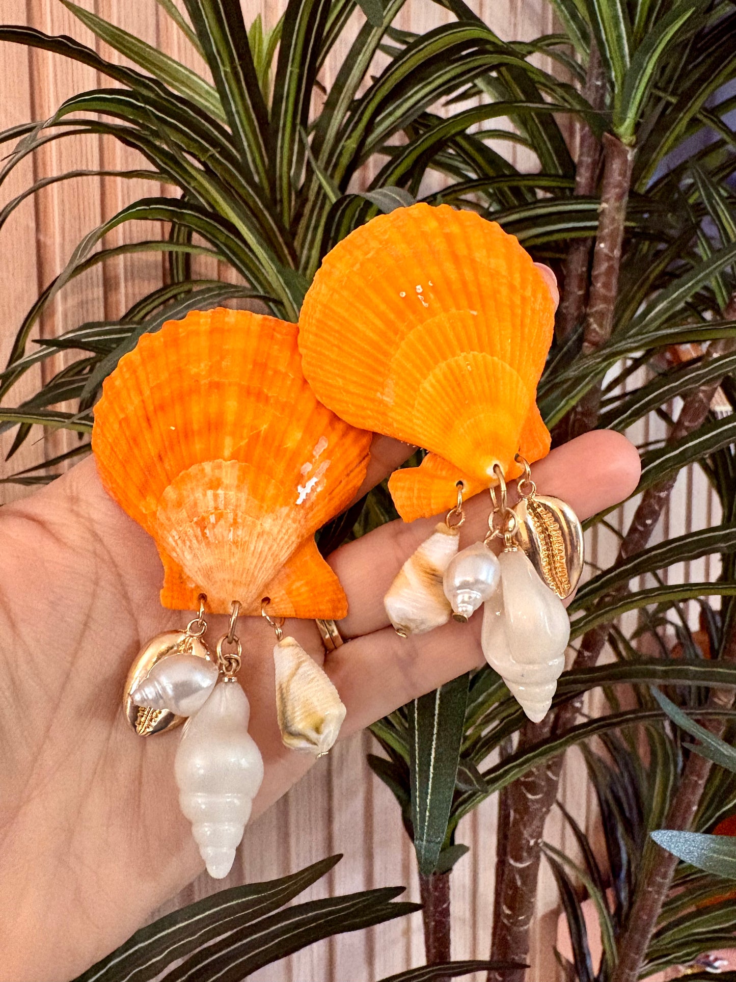 ARETES ORANGE SHELL 🐚 🧡